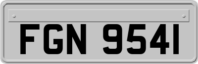 FGN9541