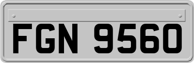 FGN9560