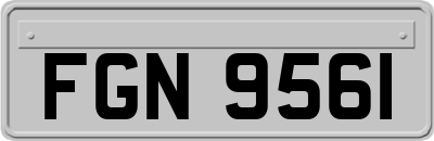 FGN9561