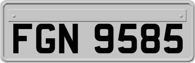 FGN9585