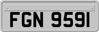 FGN9591