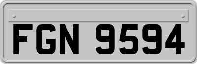 FGN9594
