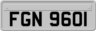 FGN9601