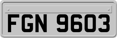 FGN9603