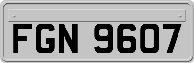 FGN9607