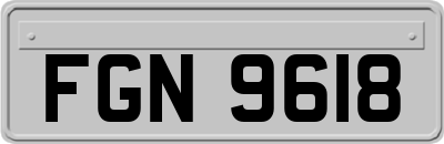 FGN9618