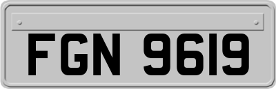 FGN9619