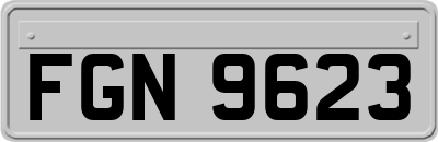 FGN9623