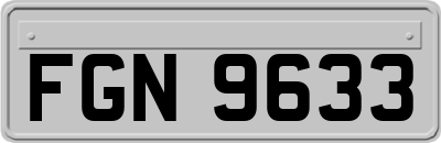 FGN9633