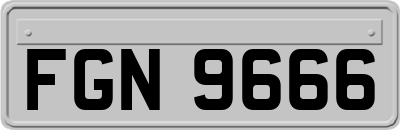 FGN9666