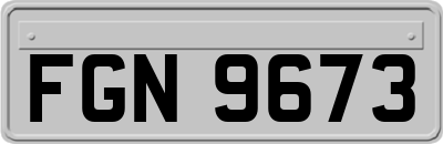 FGN9673