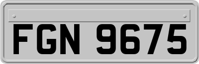 FGN9675