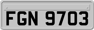 FGN9703