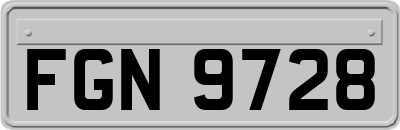 FGN9728
