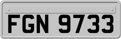 FGN9733