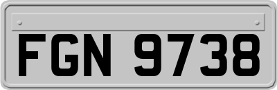FGN9738