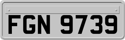 FGN9739