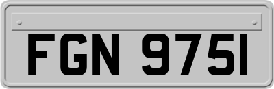FGN9751