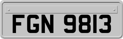 FGN9813