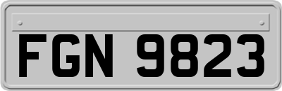 FGN9823