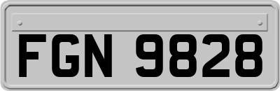 FGN9828