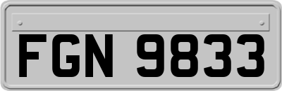 FGN9833