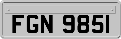 FGN9851