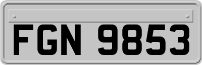 FGN9853