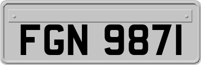 FGN9871