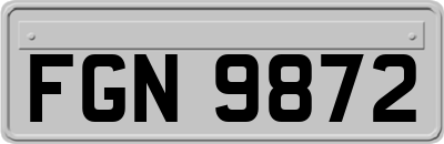 FGN9872