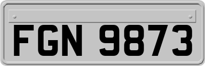 FGN9873