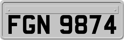 FGN9874