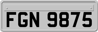 FGN9875