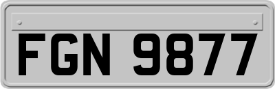 FGN9877