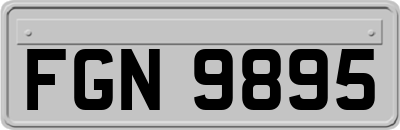 FGN9895