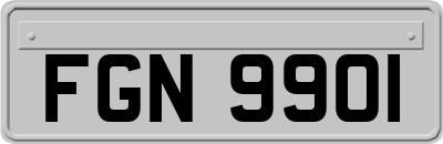 FGN9901