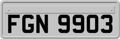 FGN9903