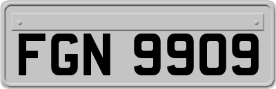 FGN9909