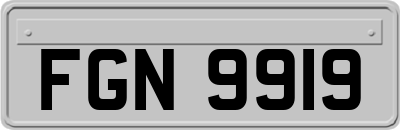 FGN9919