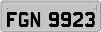 FGN9923