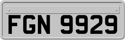 FGN9929