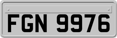 FGN9976