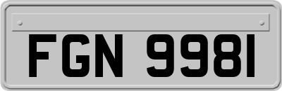 FGN9981