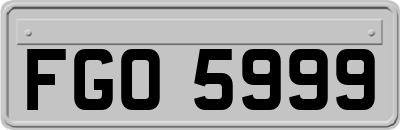 FGO5999