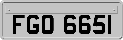 FGO6651