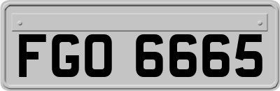 FGO6665