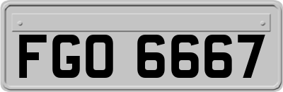FGO6667