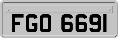 FGO6691