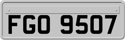 FGO9507