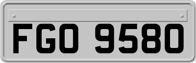 FGO9580